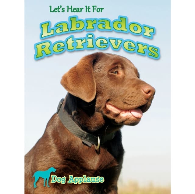 Let's Hear It For Labrador Retrievers