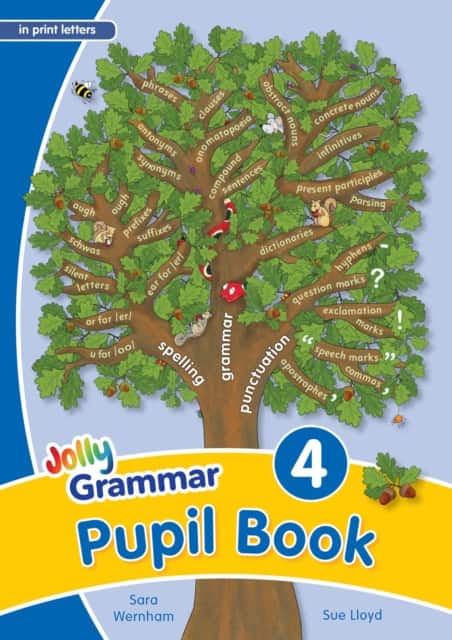 Grammar 4 Pupil Book av Sara Wernham