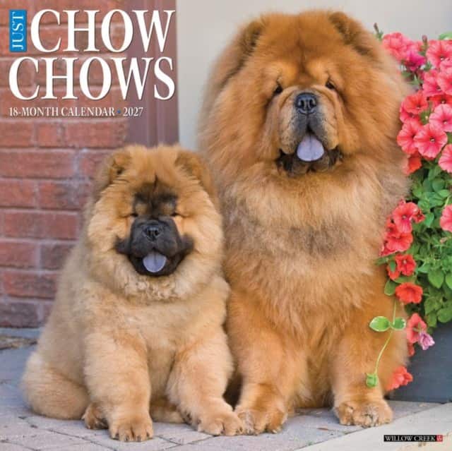 Chow Chows 2027 Wall av Willow Creek Press