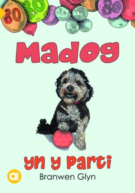 Cyfres Amdani: Madog yn y Parti av Branwen Glyn