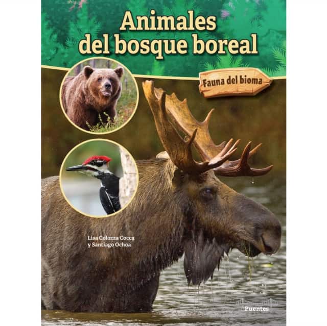 Animales del bosque boreal av Lisa Colozza Cocca