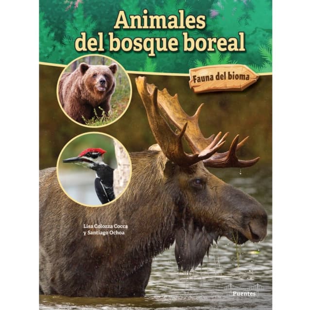 Animales del bosque boreal