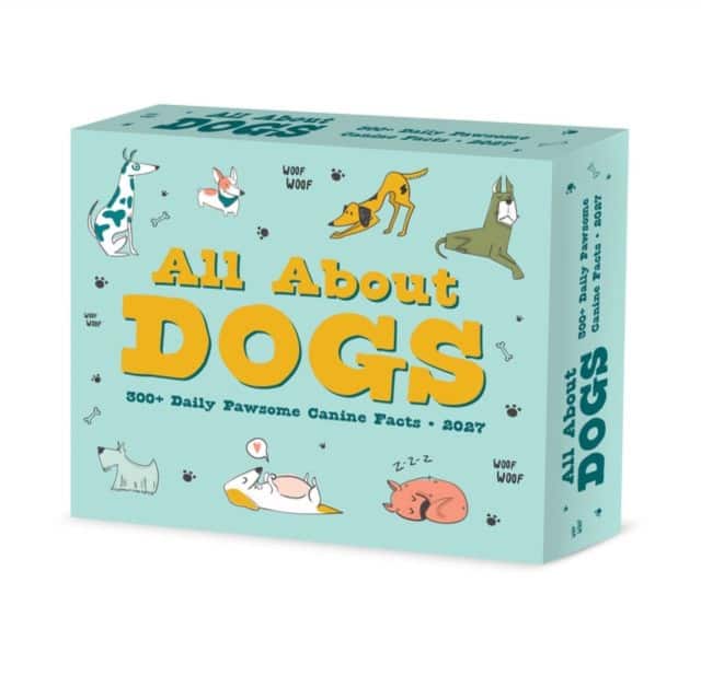 All About Dogs 2027 Box av Willow Creek Press