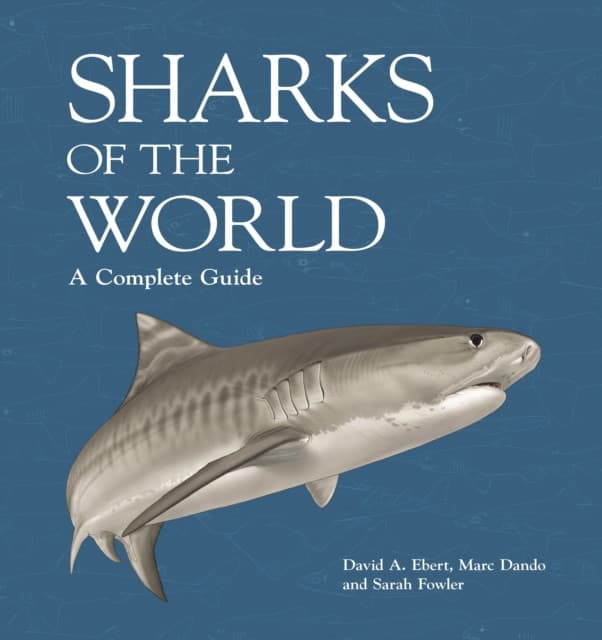 Sharks of the World – A Complete Guide