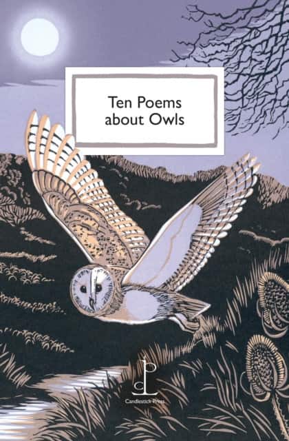 Ten Poems about Owls av Katharine Towers