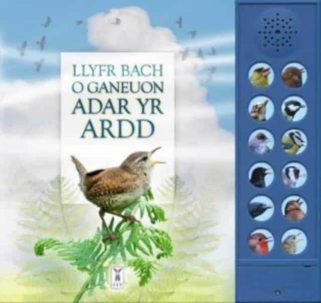 LLYFR BACH O GANEUON ADAR YR ARDD av Andrea Pinnington