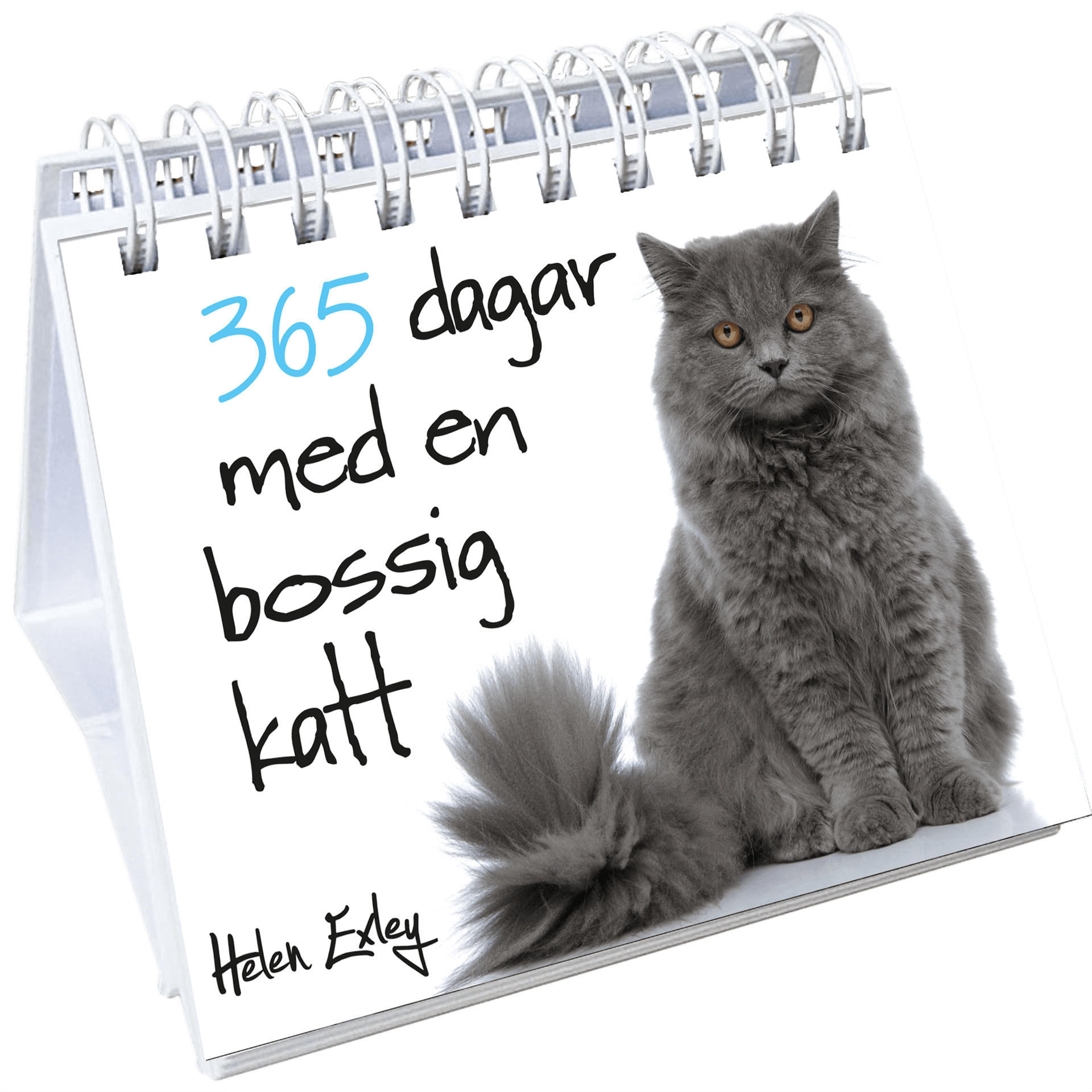 365 dagar med en bossig katt