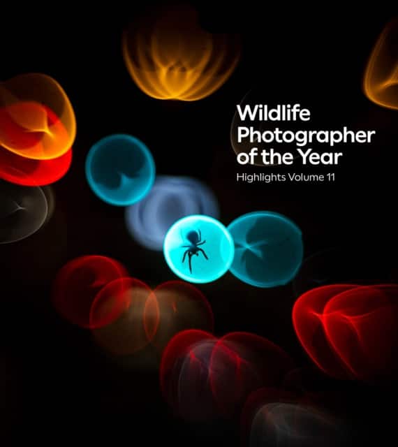 Wildlife Photographer of the Year Highlights