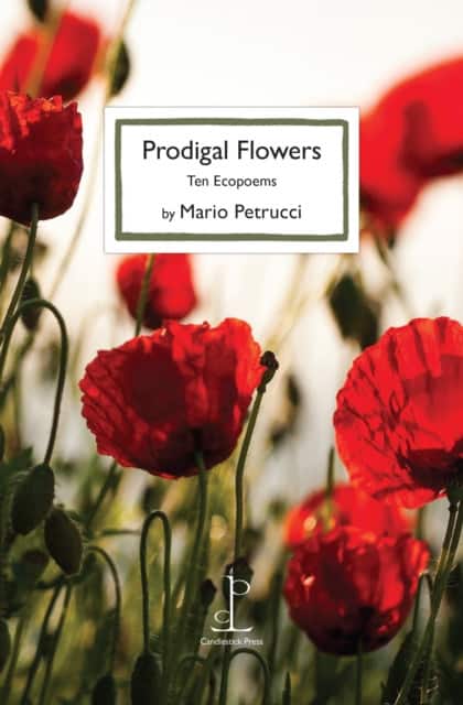 Prodigal Flowers av Mario Petrucci