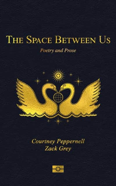 The Space Between Us av Courtney Peppernell