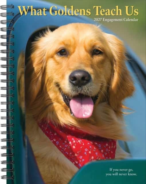 What Goldens Teach Us 2027 Engagement av Willow Creek Press