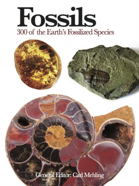 Fossils av Carl Mehling
