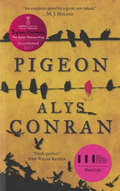 Pigeon av Alys Conran