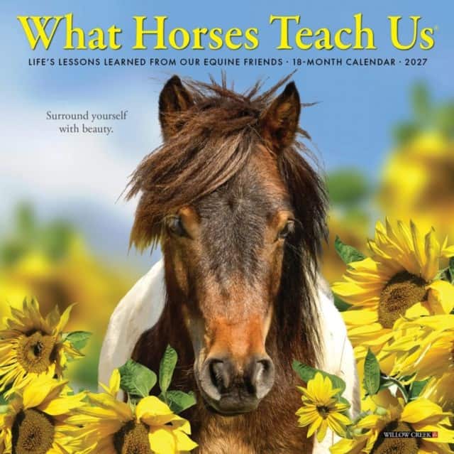What Horses Teach Us 2027 Mini av Willow Creek Press