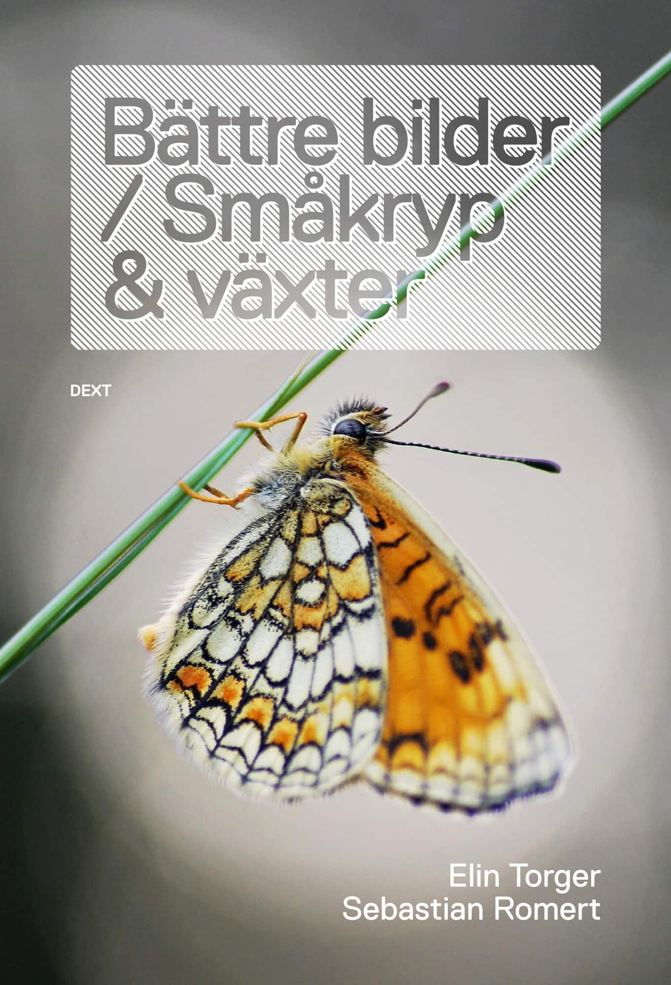 Bättre bilder / Småkryp och växter av Elin Torger