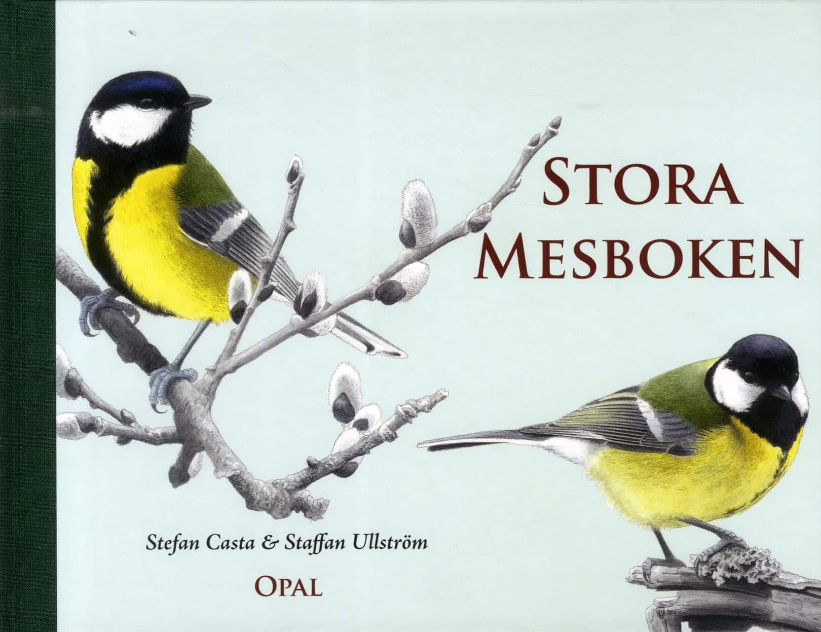 Stora mesboken av Stefan Casta