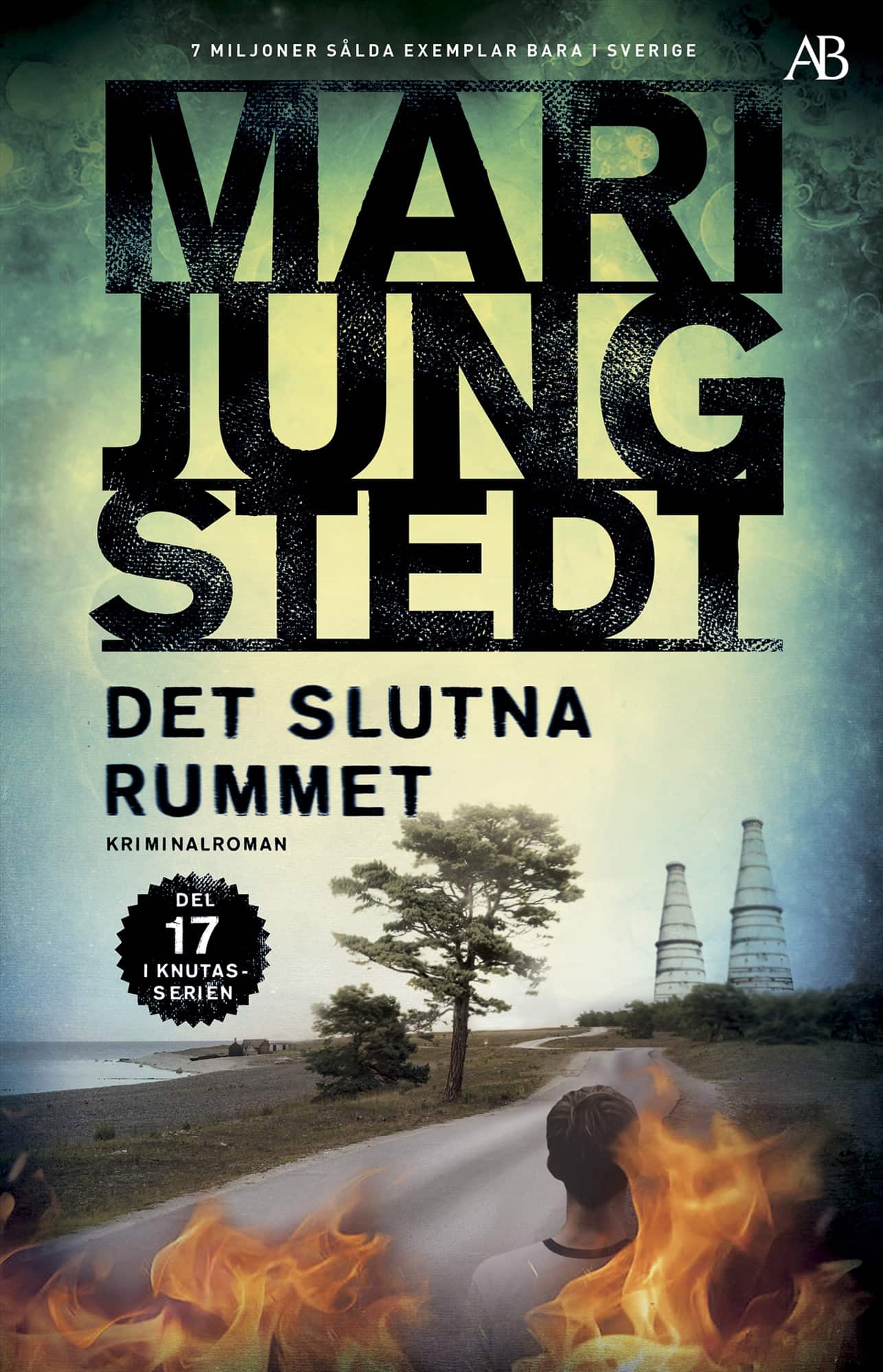 Det slutna rummet av Mari Jungstedt