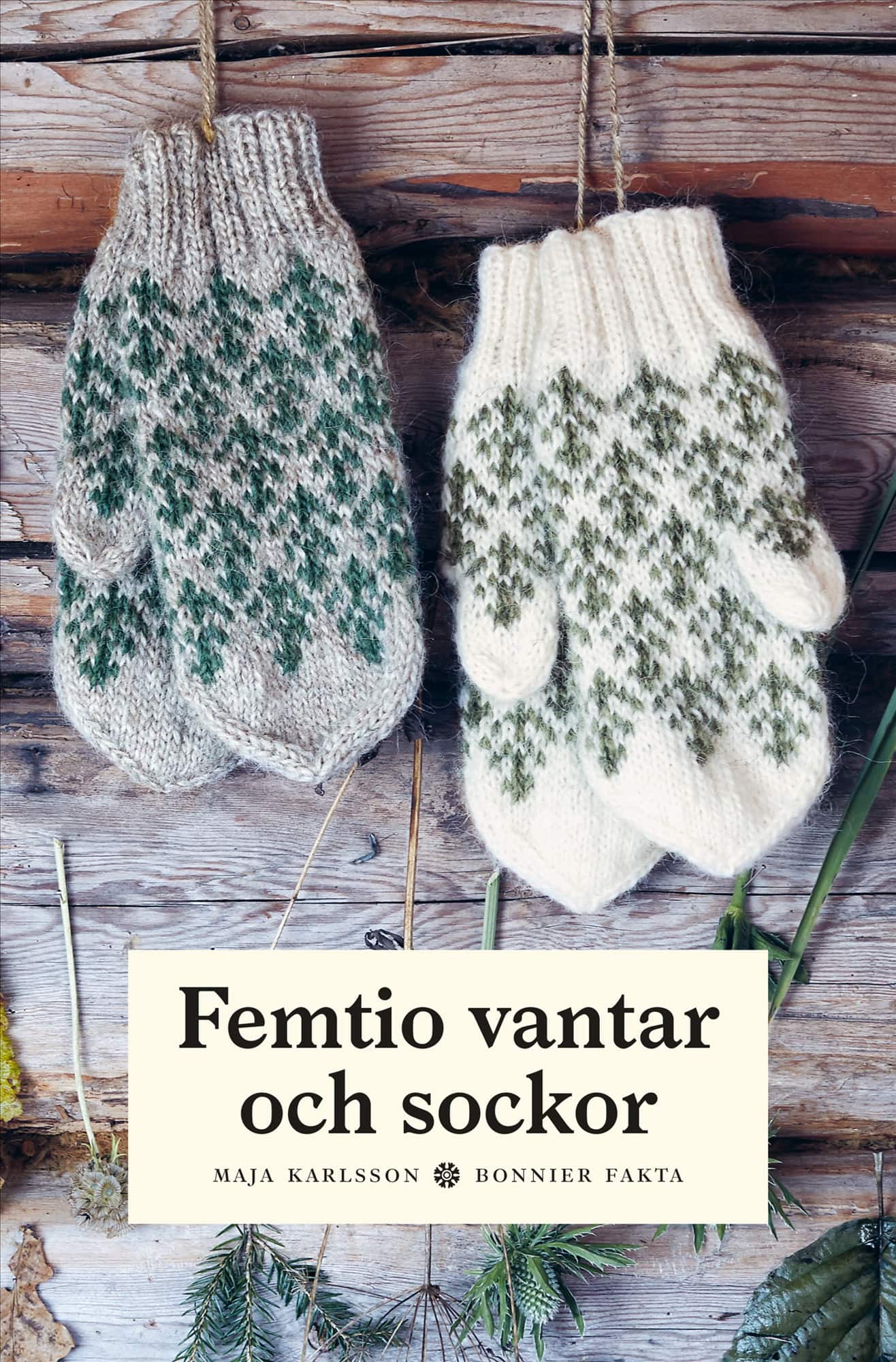 Femtio vantar och sockor av Maja Karlsson
