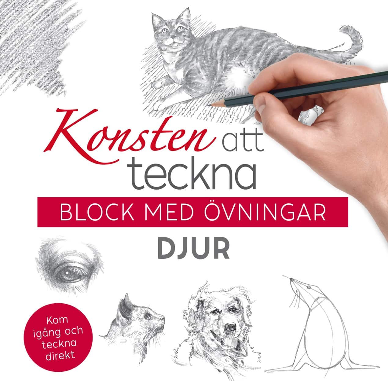 Konsten att teckna : block med övningar - djur av Sara