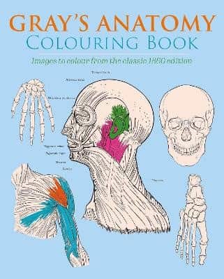 Gray's Anatomy Colouring Book av Henry Gray