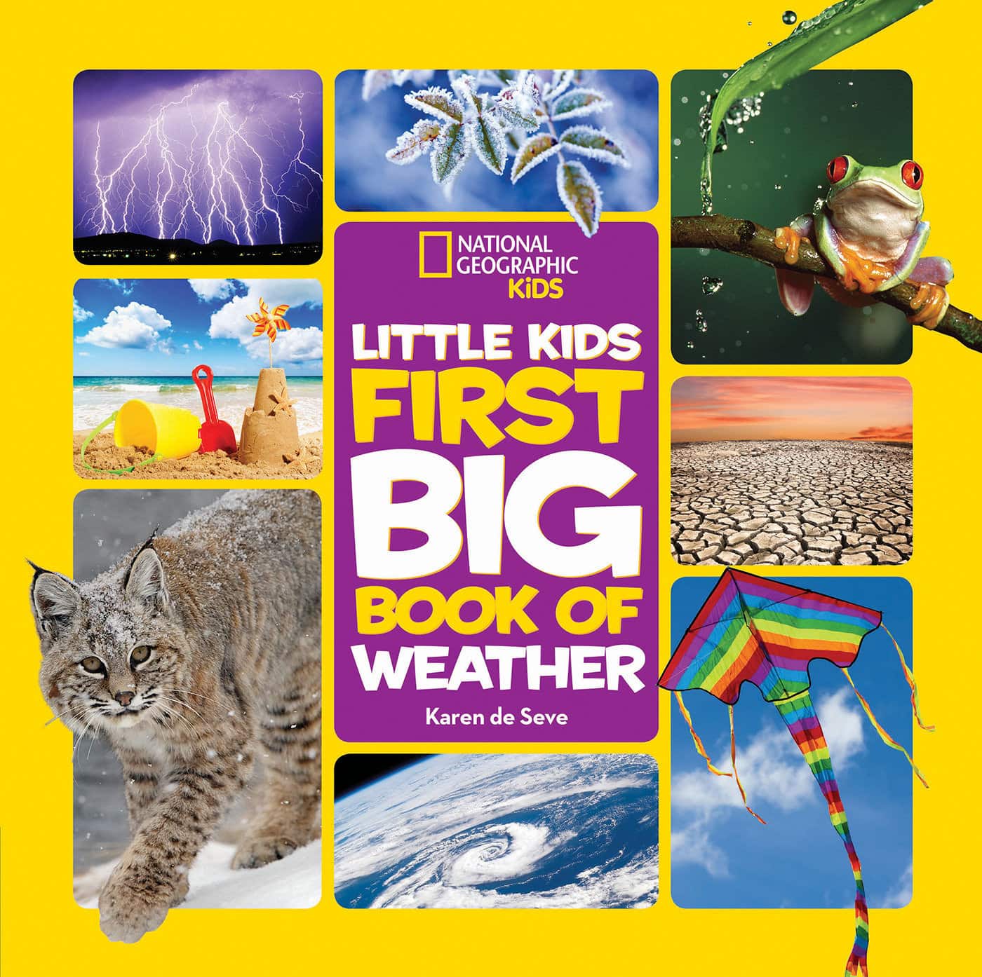 Little kids first big book of weather av Karen de Seve