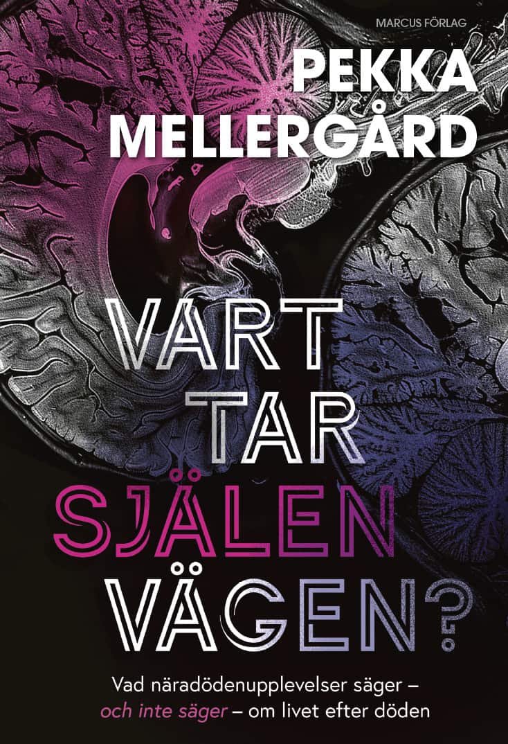 Vart tar själen vägen? : Vad näradödenupplevelser säger – och inte säger – om livet efter döden av Pekka Mellergård