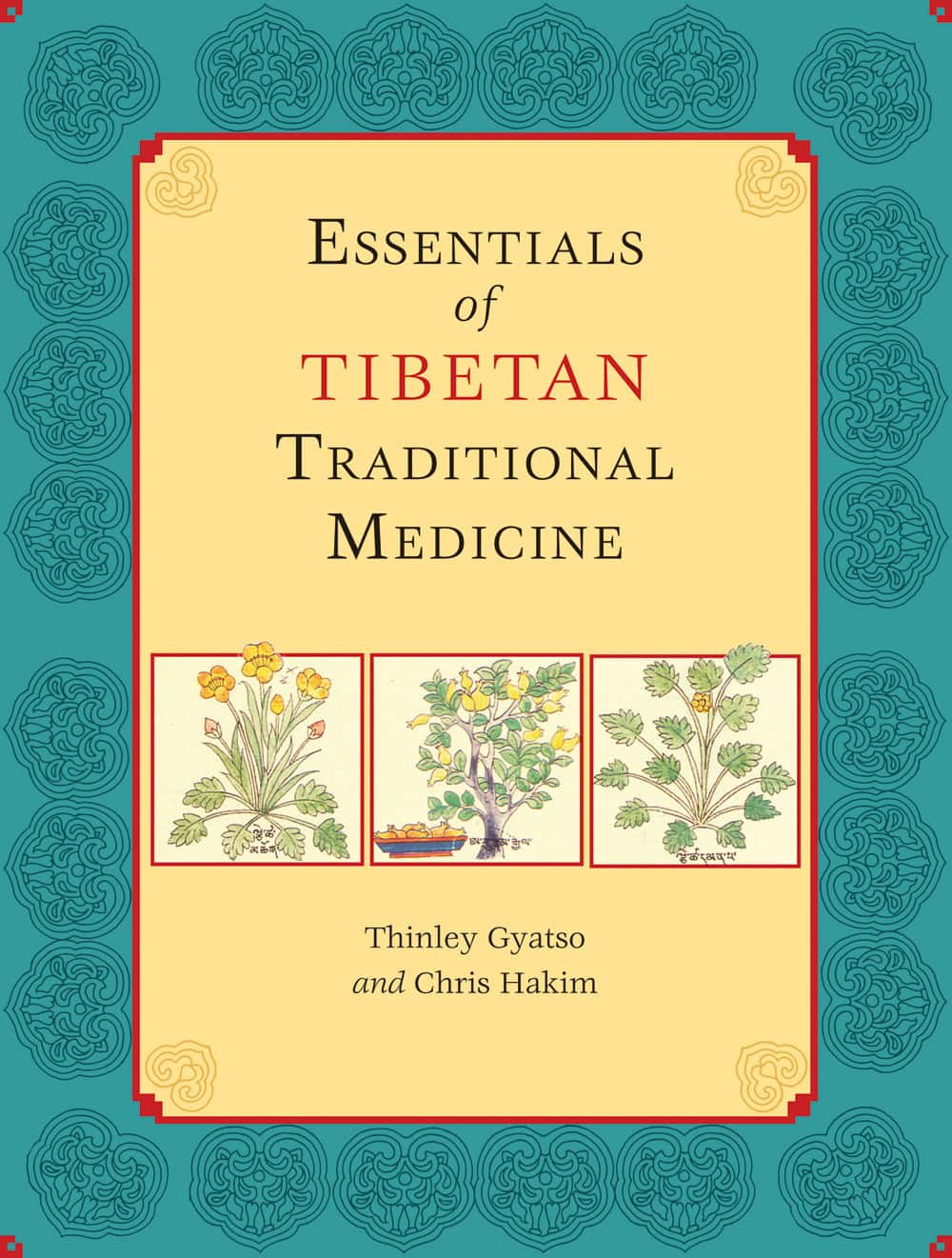 Essentials of tibetan traditional medicine av Chris Hakim