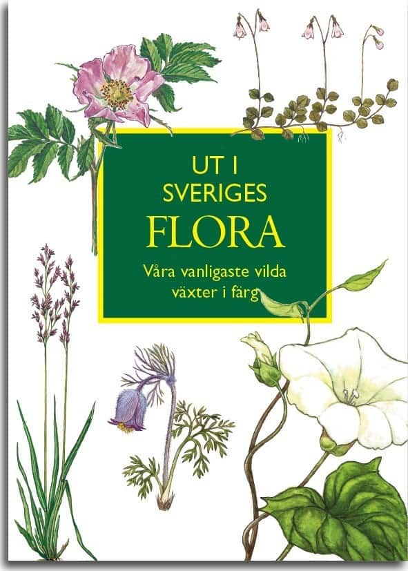 Ut i Sveriges Flora: våra vanligaste vilda växter i färg av Ingvar Nordin
