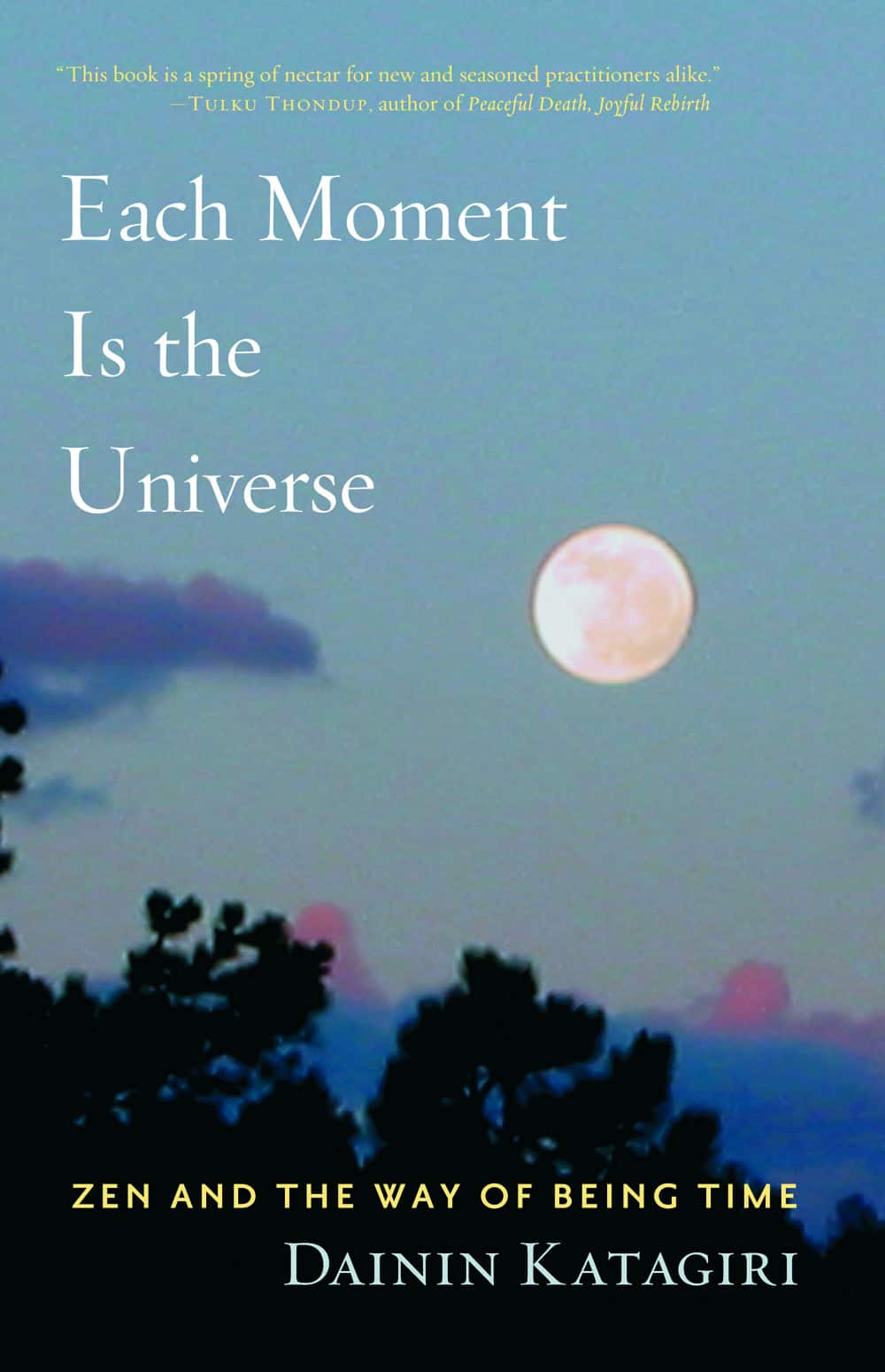 Each moment is the universe - zen and the way of being time av Dainin Katagiri