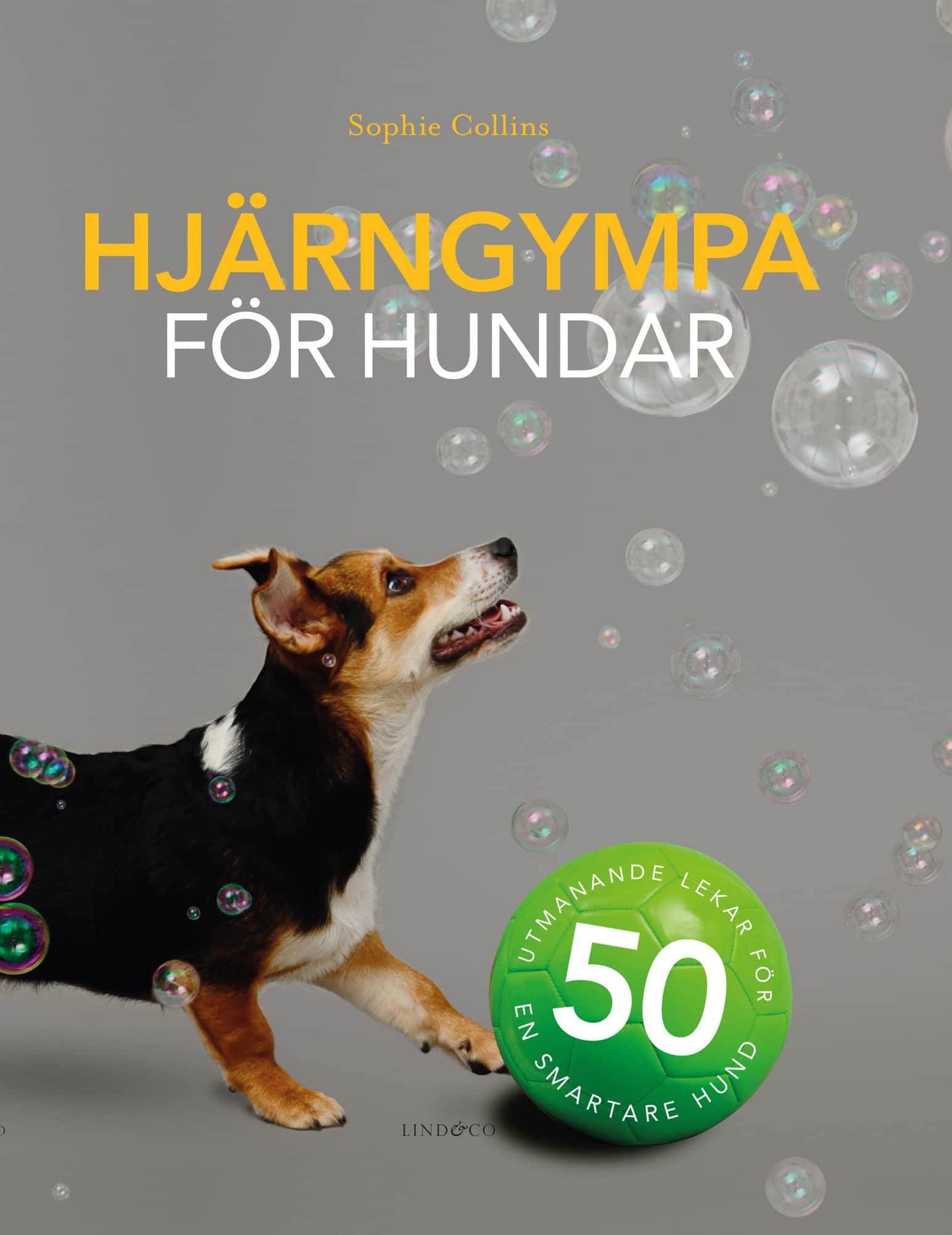 Hjärngympa för hundar : 50 utmanande lekar för en smartare hund av Sophie Collins