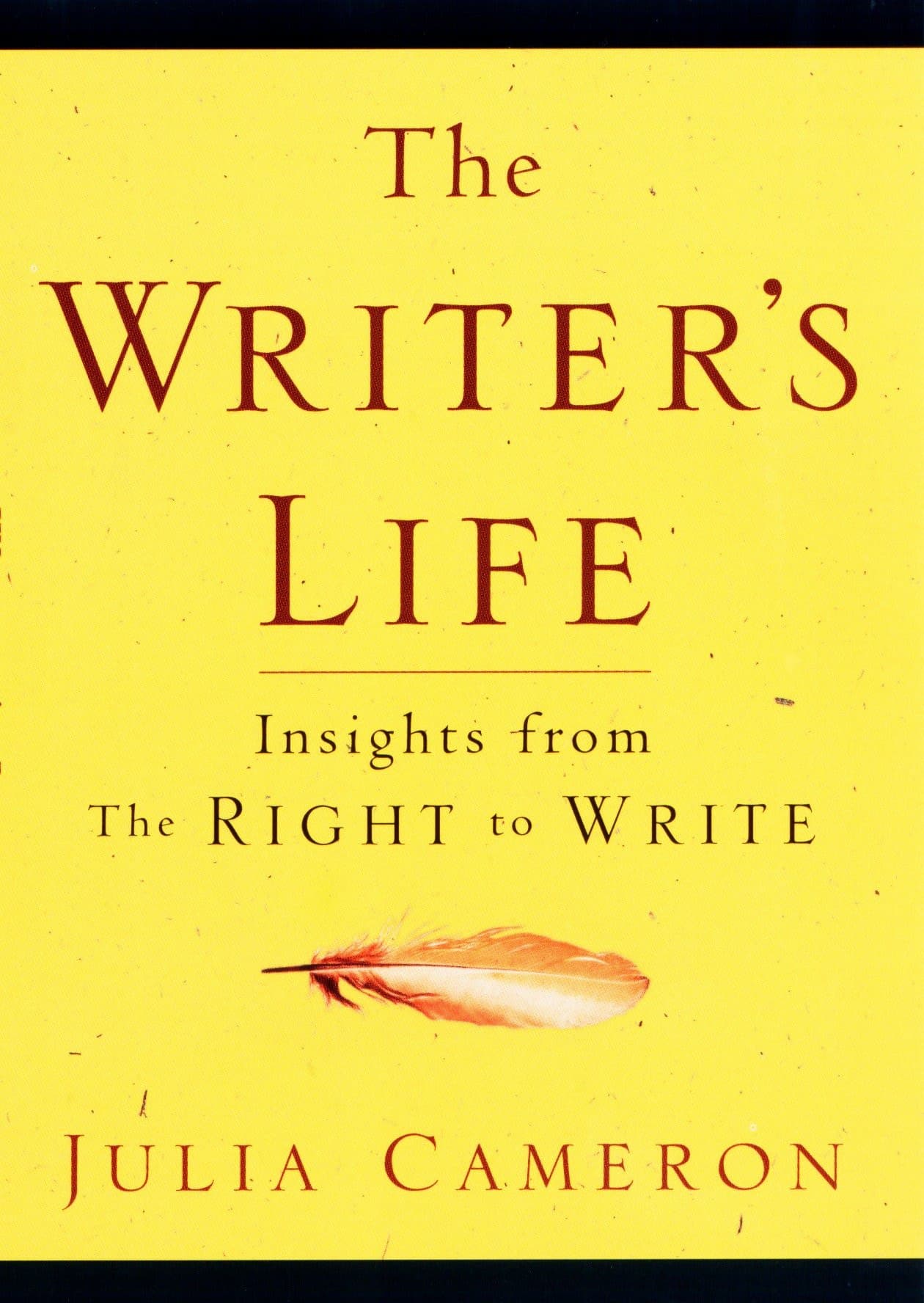 Writer's Life