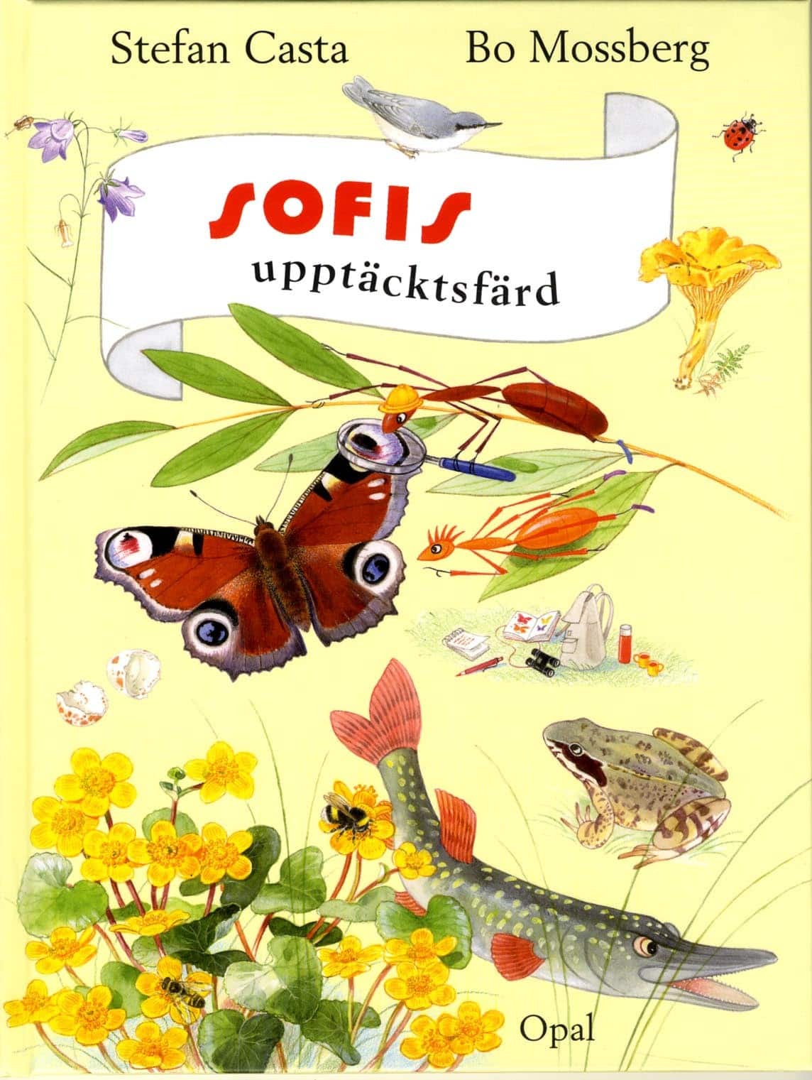 Sofis upptäcktsfärd av Stefan Casta