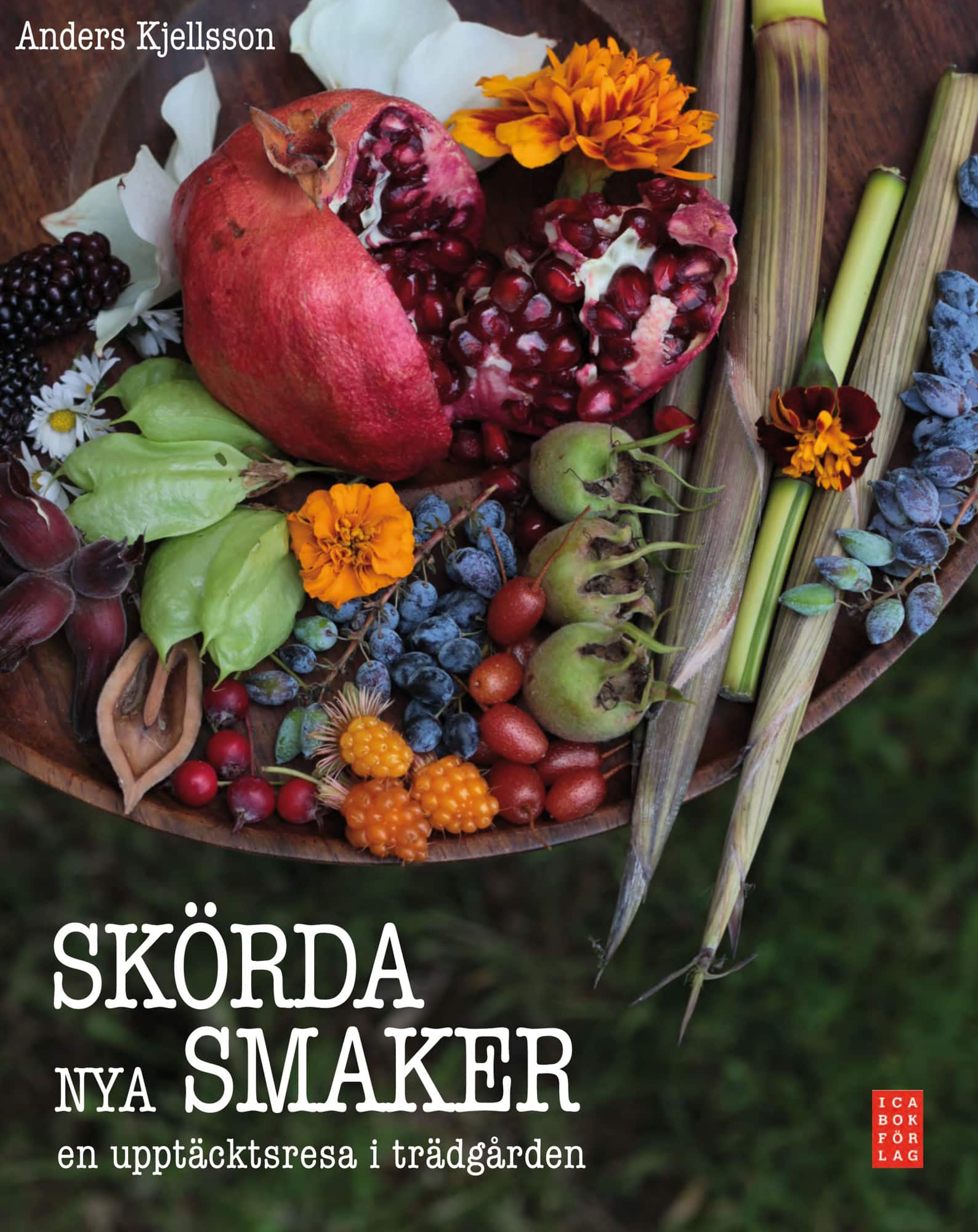 Skörda nya smaker : en upptäcktsresa i trädgården av Anders Kjellsson