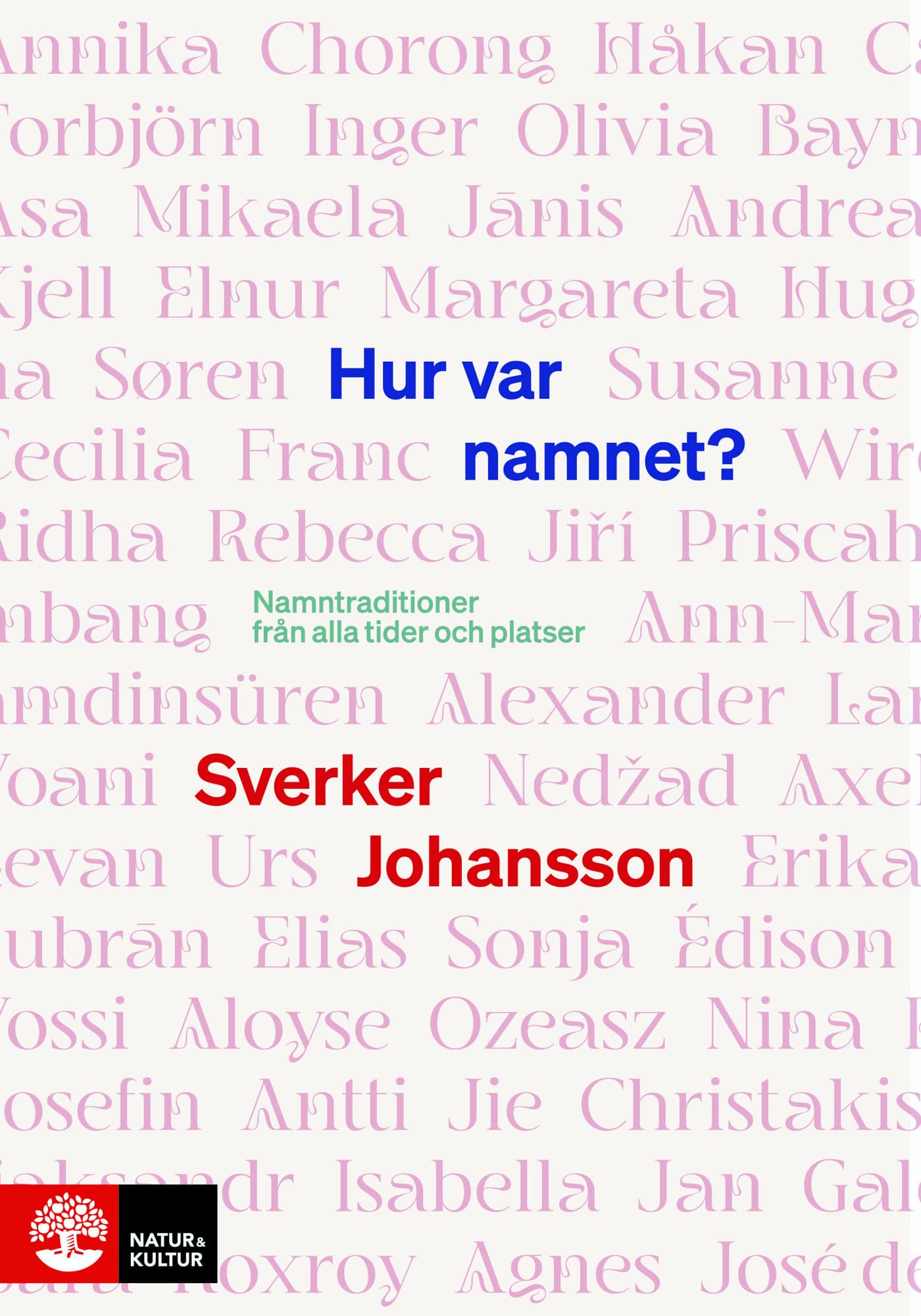 Hur var namnet? : namntraditioner från alla tider och platser