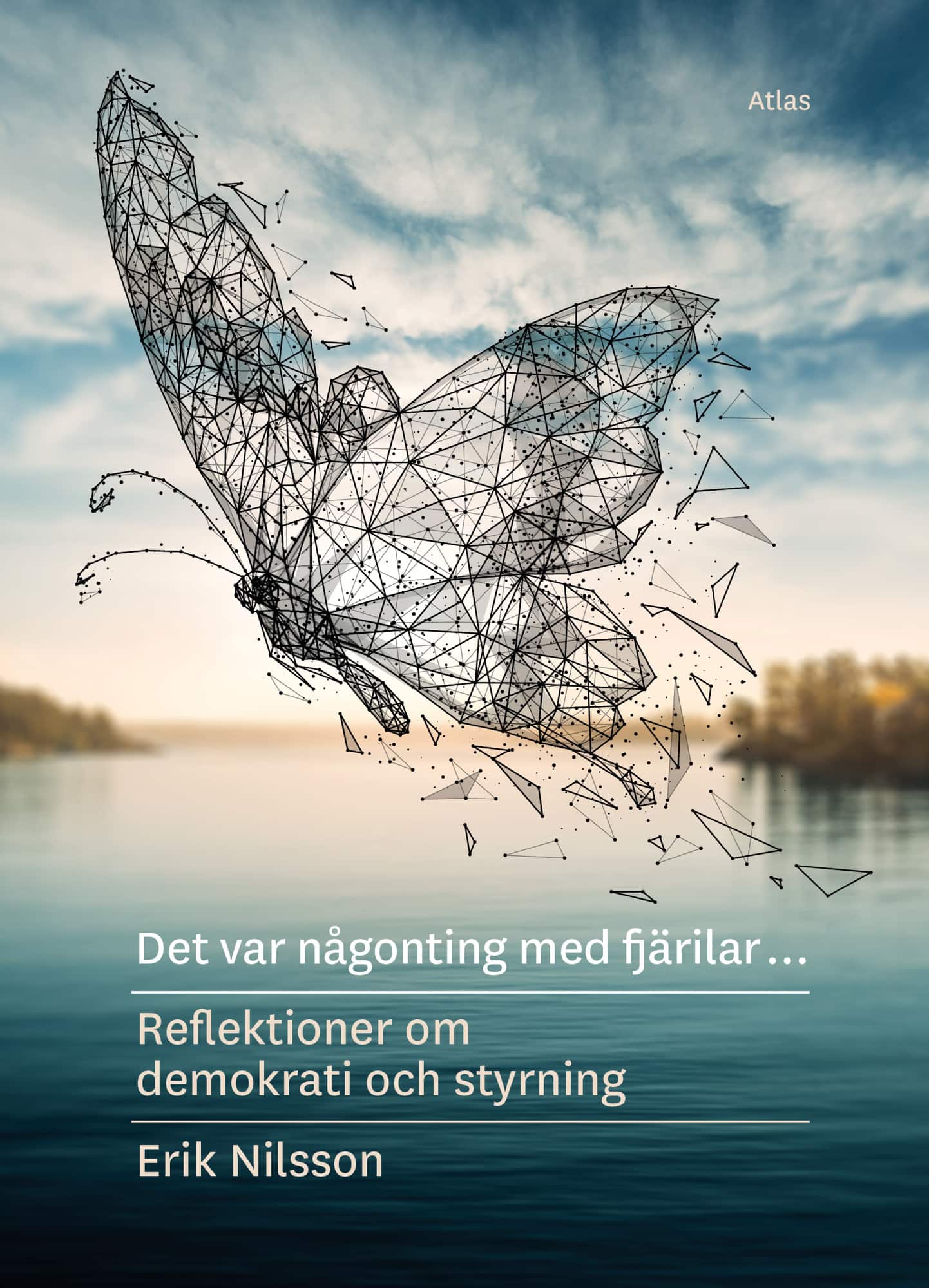 Det var någonting med fjärilar : reflektioner om demokrati och styrning av Erik Nilsson