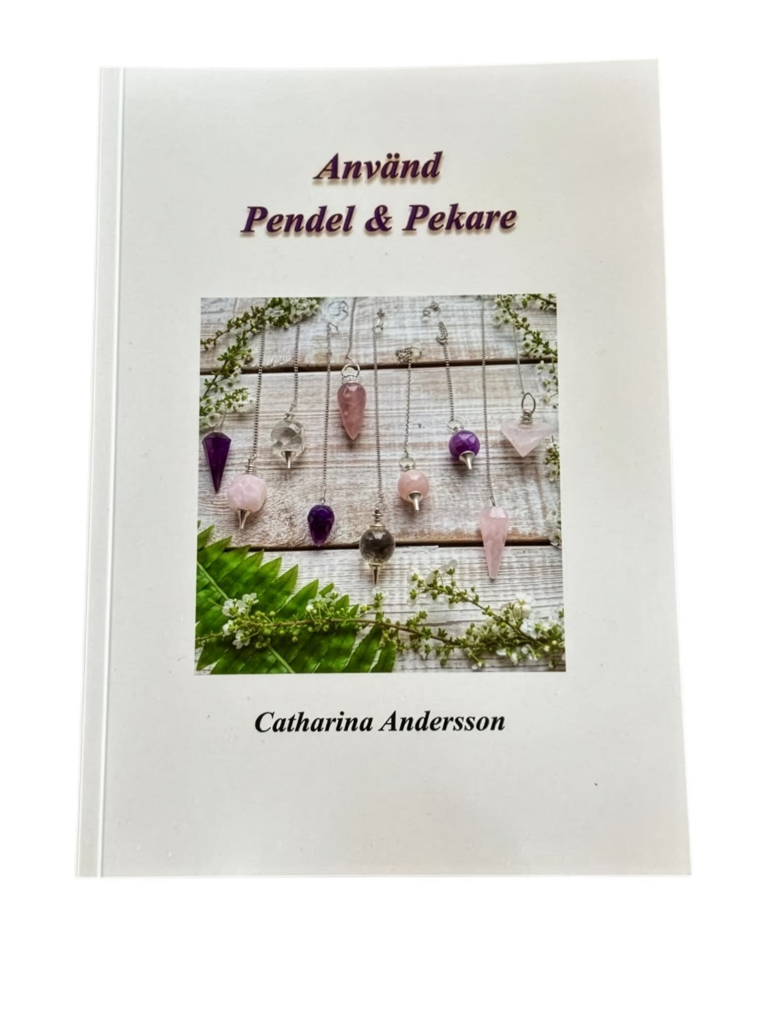 Använd pendel & pekare