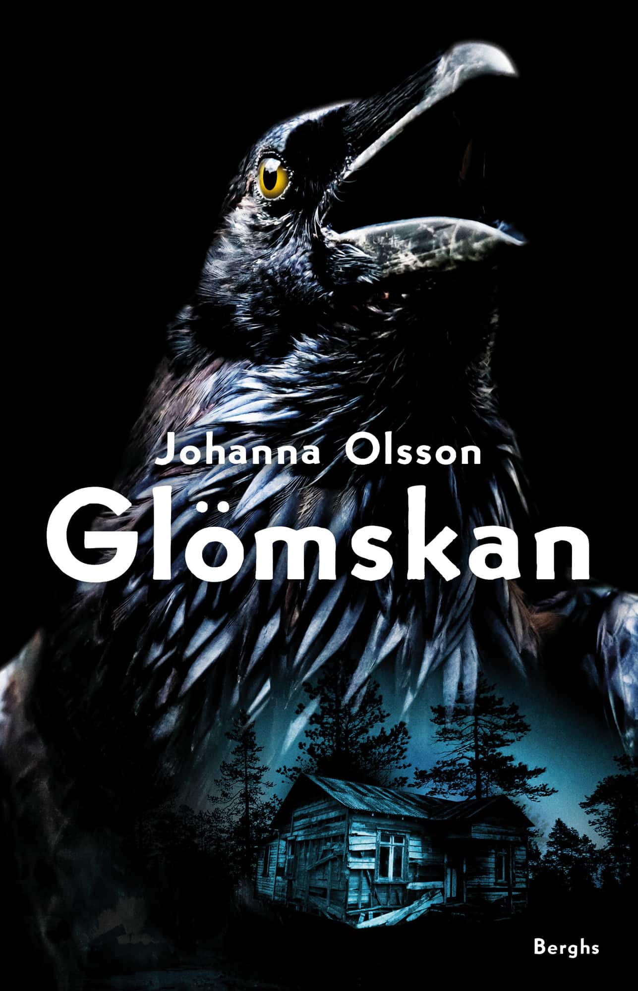 Glömskan av Johanna Olsson