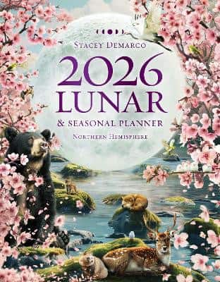 2026 Lunar and Seasonal Planner: Northern Hemisphere av Stacey Demarco