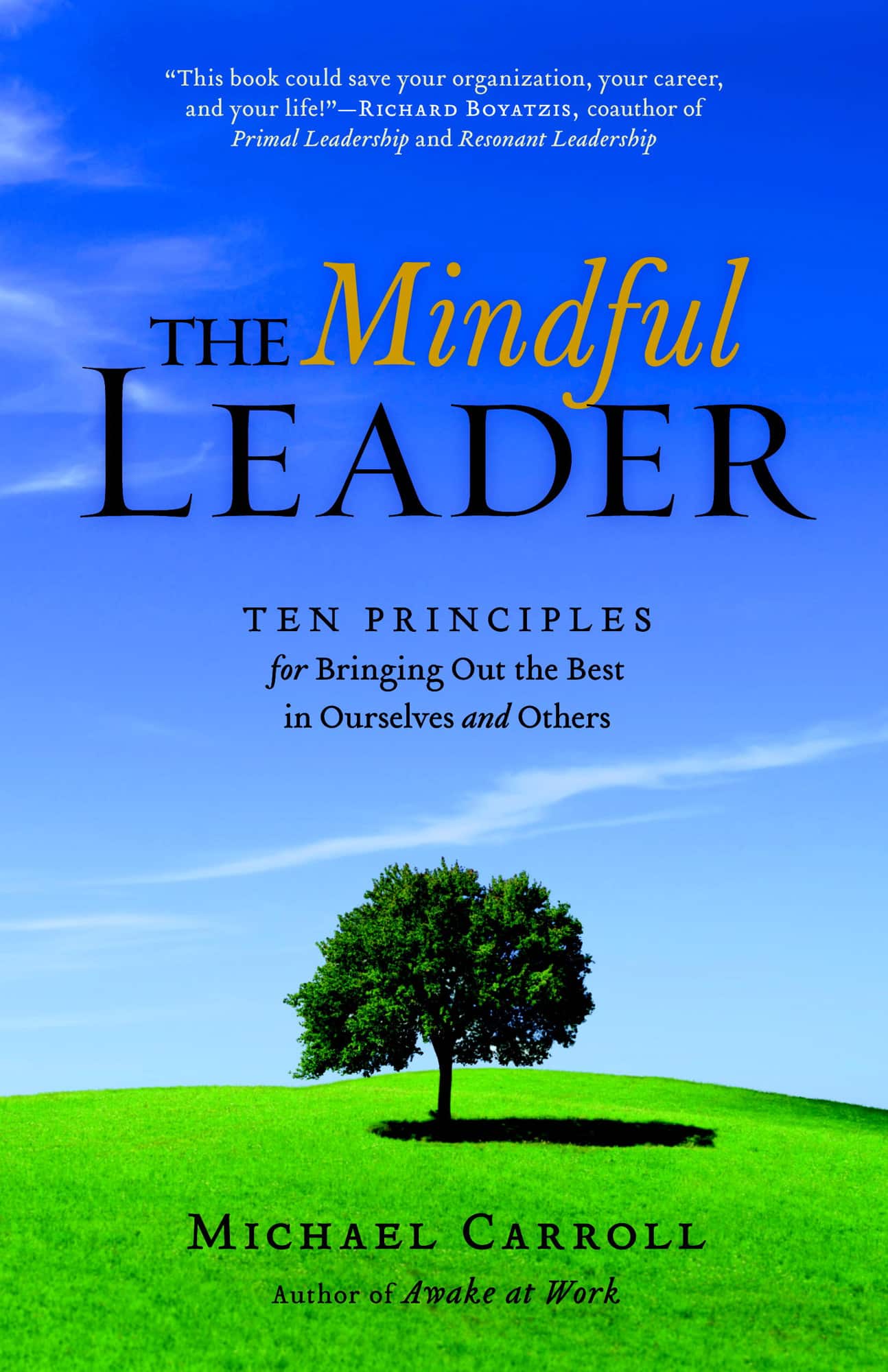 The Mindful Leader av Michael Carroll
