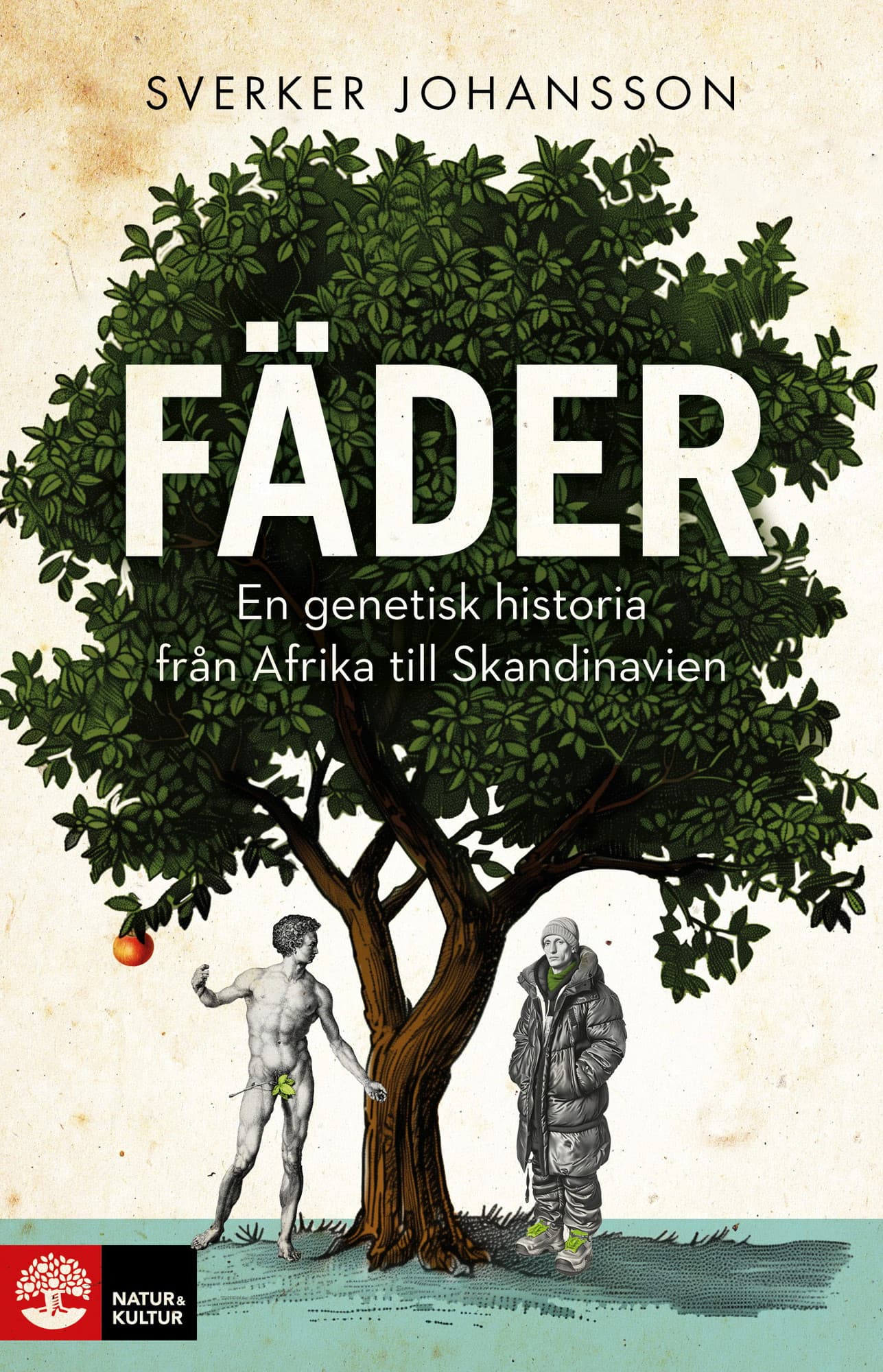 Fäder : en genetisk historia från Afrika till Skandinavien