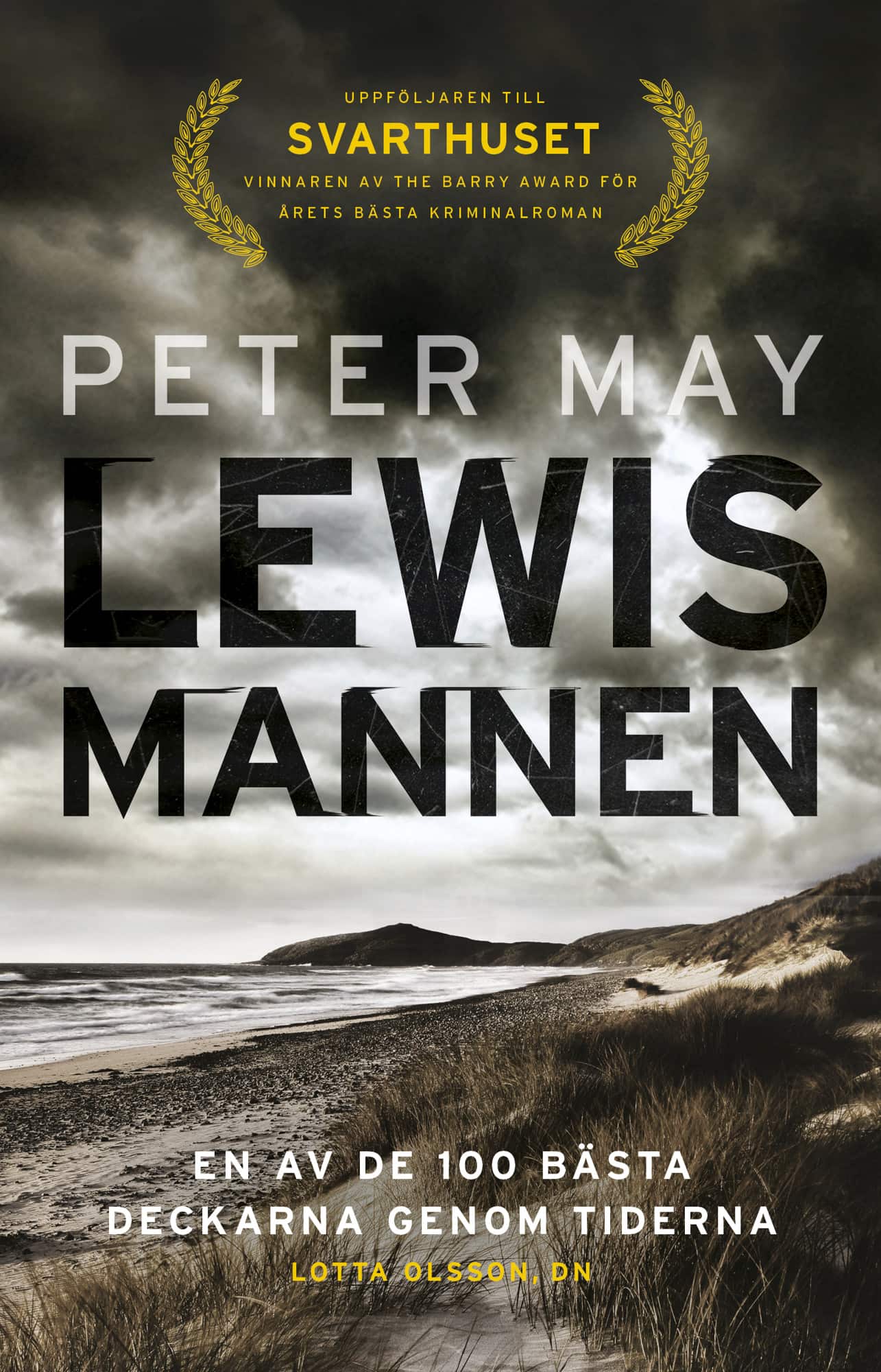 Lewismannen av Peter May