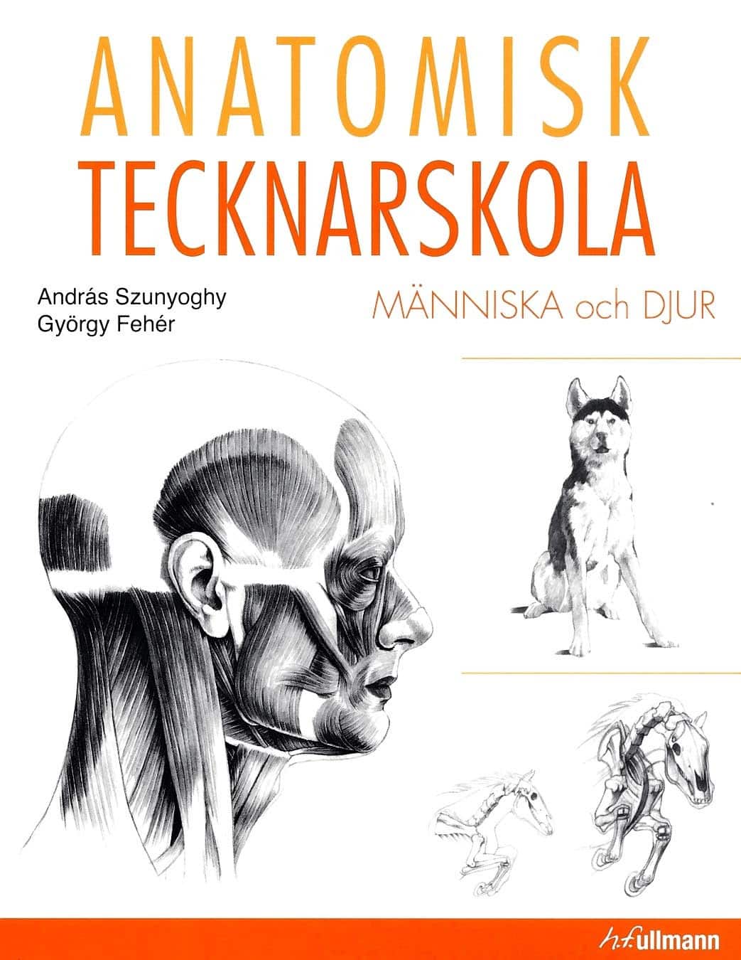 Anatomisk tecknarskola : människa och djur av Andráz Szunyoghy