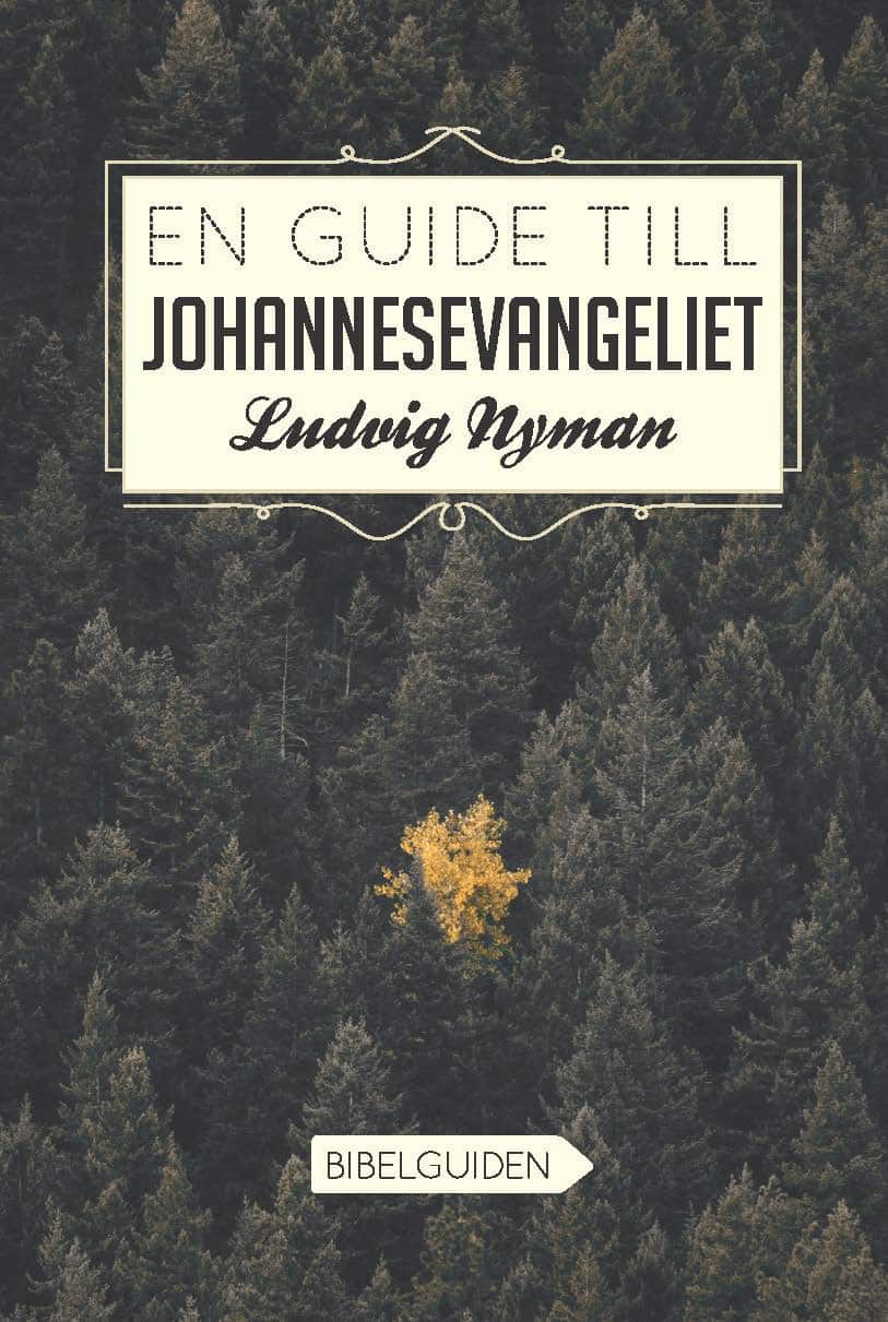 En guide till Johannesevangeliet av Ludvig Nyman