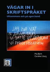 Vägar in i skriftspråket : tillsammans och på egen hand av Maj Björk