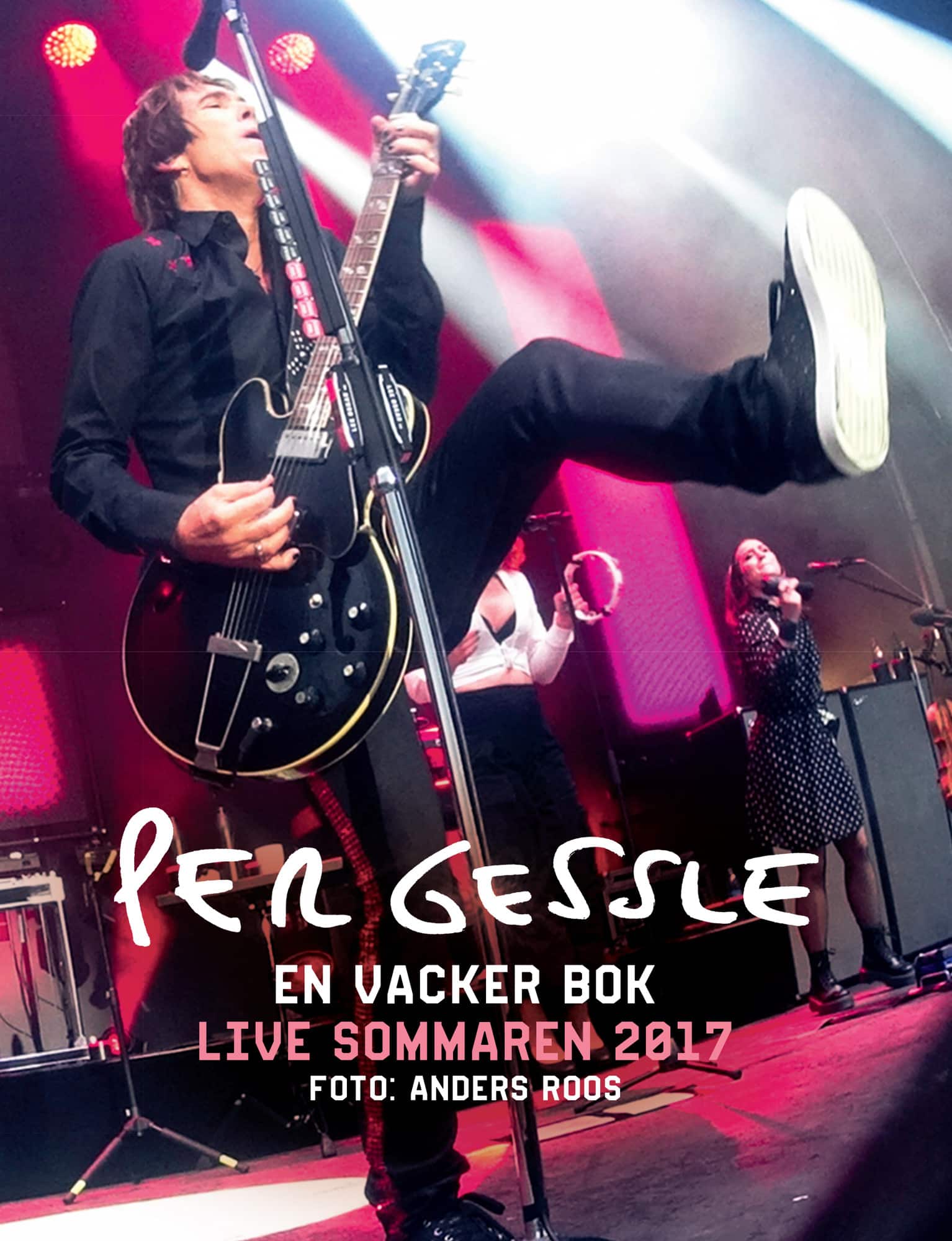 En vacker bok av Per Gessle