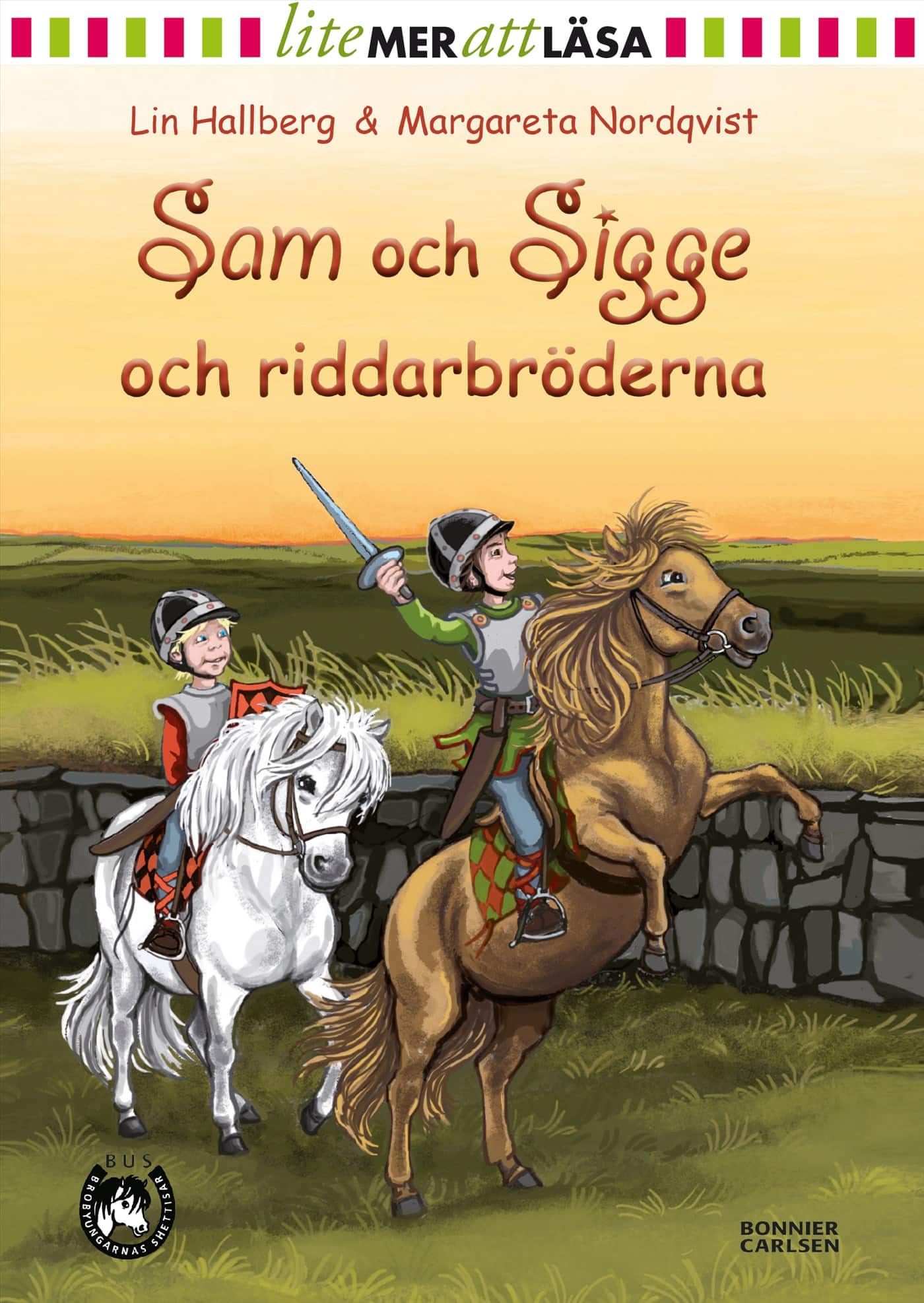 Sam och Sigge och riddarbröderna av Lin Hallberg