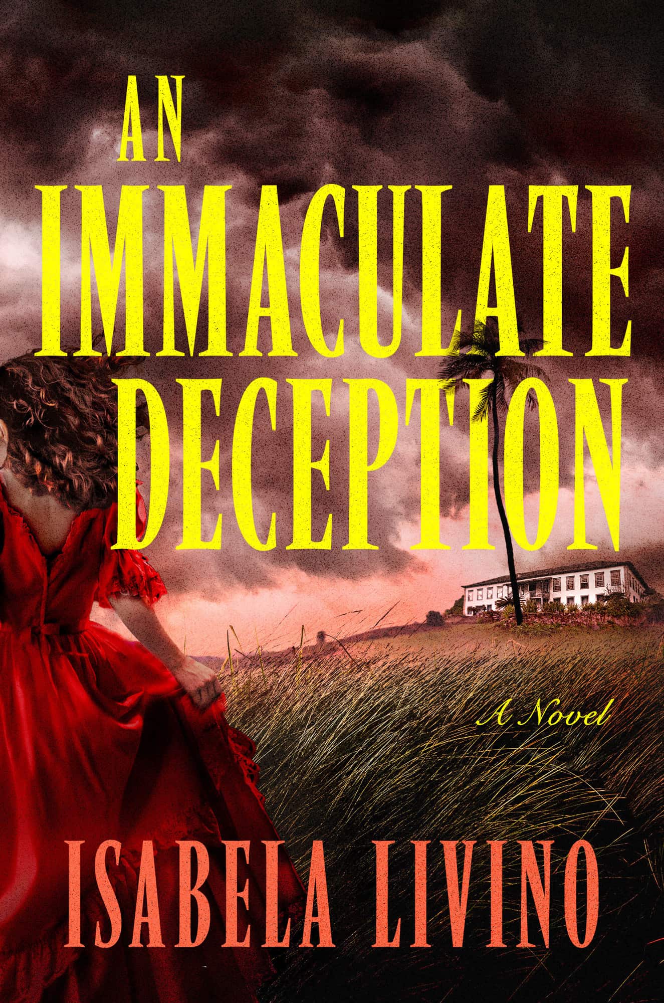 An Immaculate Deception: A Novel av Isabela Livino