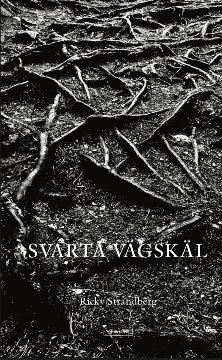 Svarta vägskäl