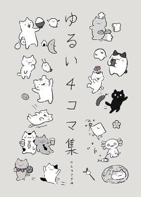 WONDER CATS