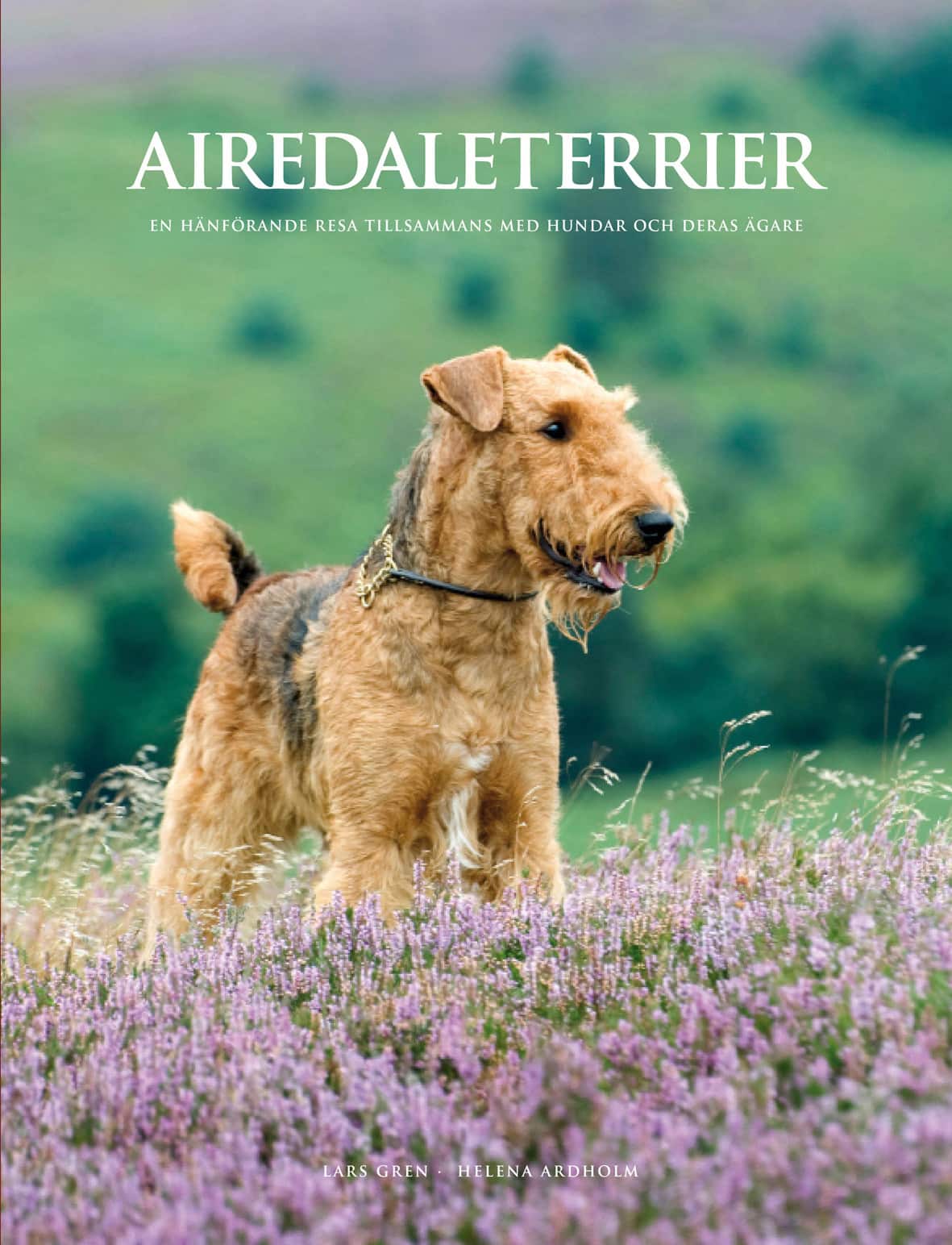 Airedaleterrier : en hänförande resa tillsammans med hundar och deras ägare av Lars Gren